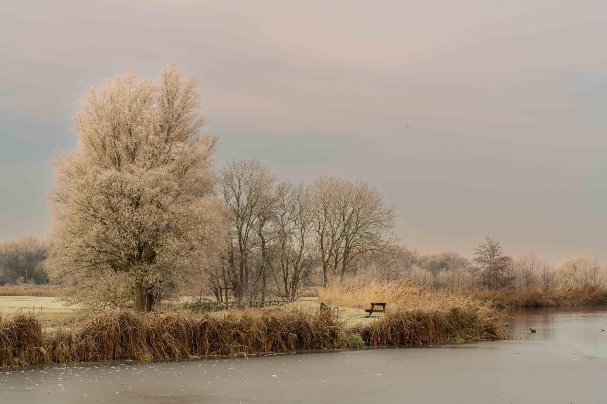 Aan De Amstel Villa De Kwakel ภายนอก รูปภาพ
